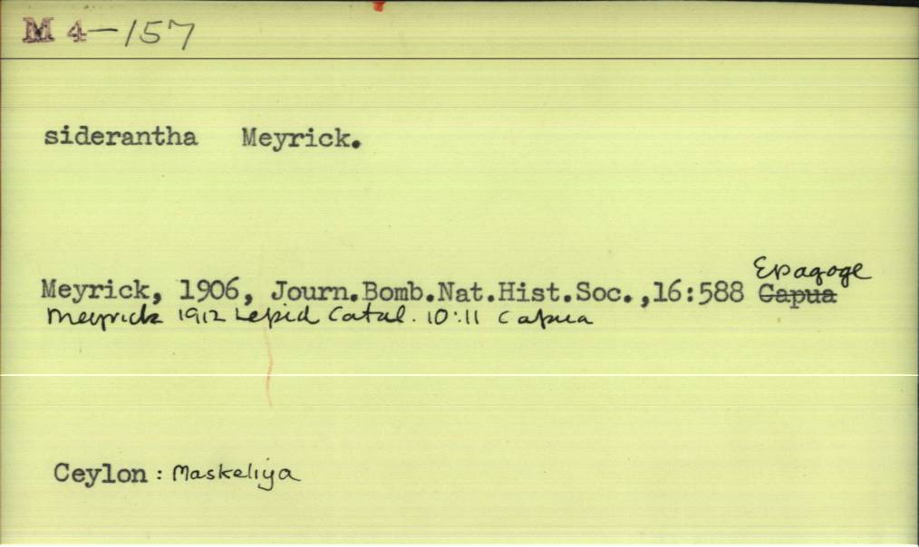 front of card